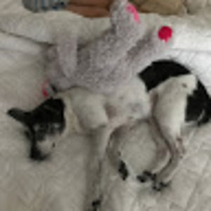 Meet your Posher, Joseph